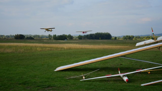 31
